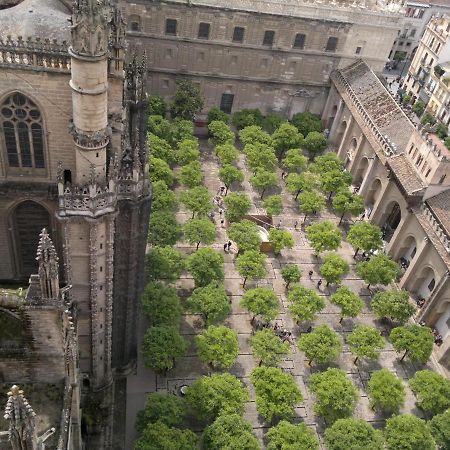 Carlos Apartamento サン・ホセ・デ・ラ・リンコナダ エクステリア 写真